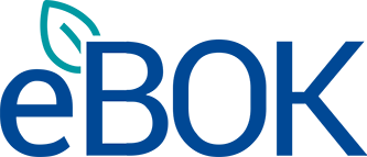 logo ebok 1